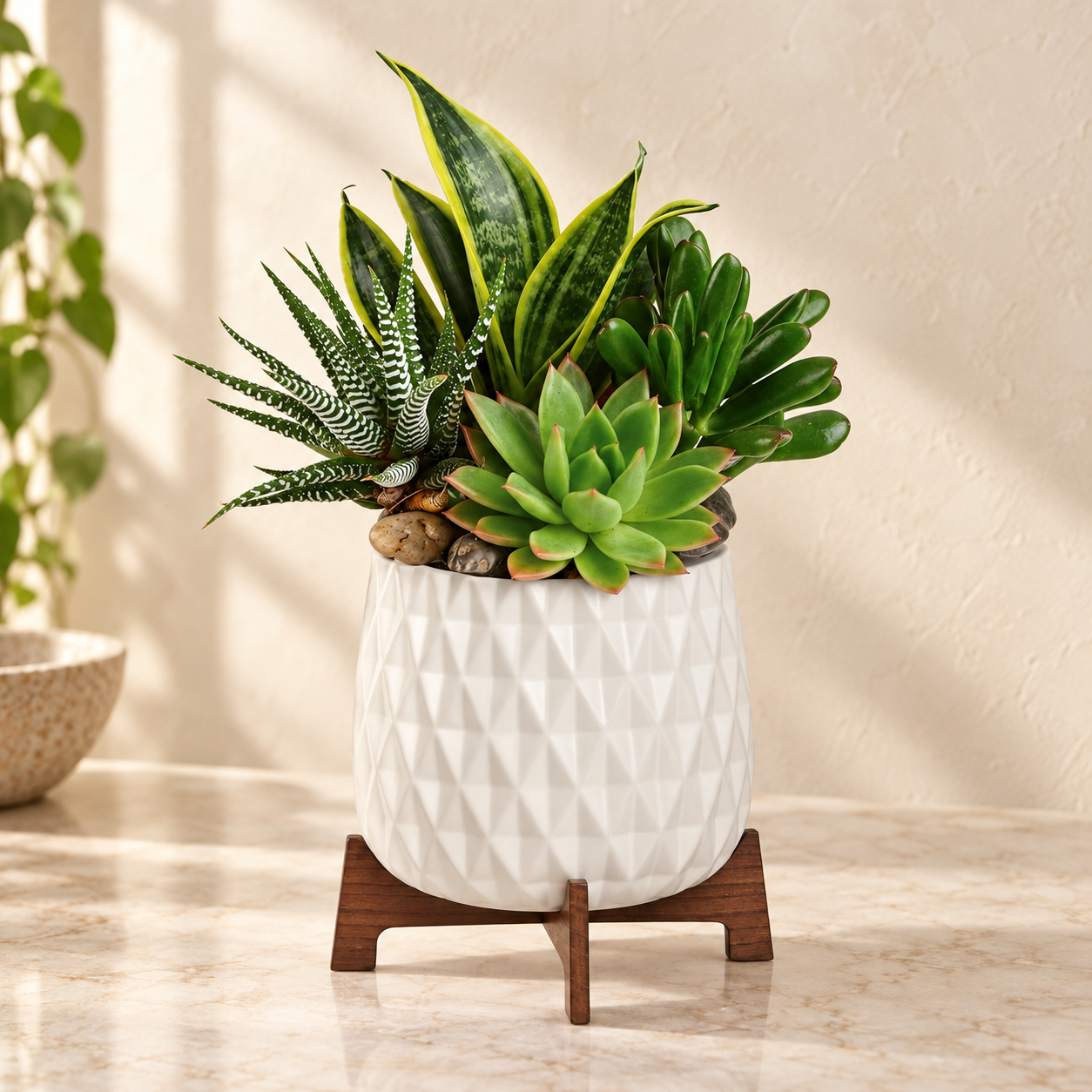 Snake plant, echeveria, zebra haworthia and succulent in a white faceted planter on a walnut stand