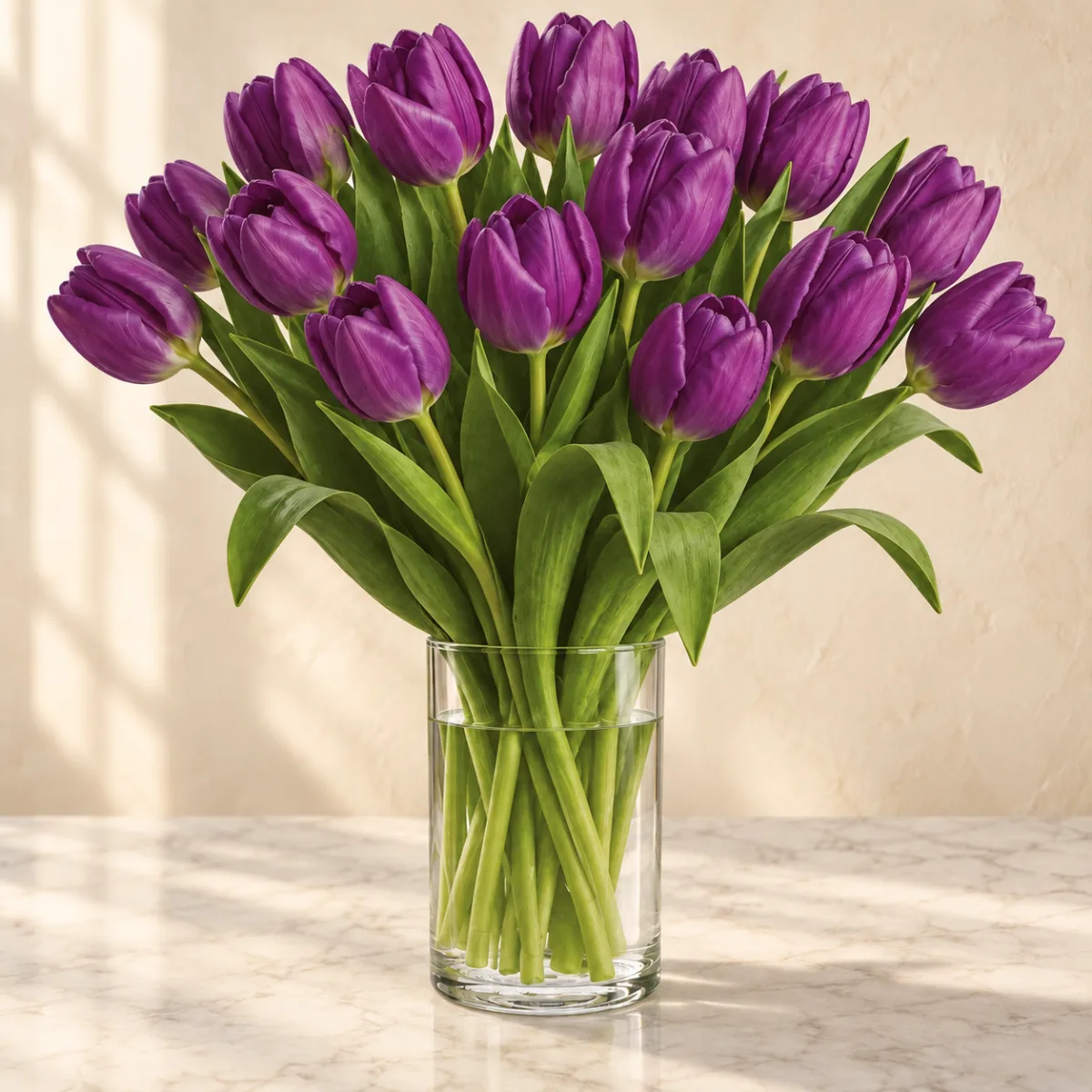 Deep purple tulips in a clear glass cylinder vase